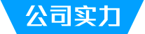 公司实力